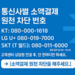 KT 소액결제 해킹 원천 차단으로 내 돈 지키는 법