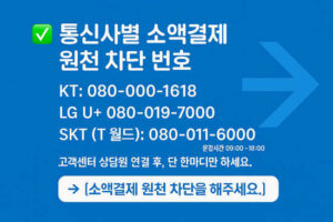 KT 소액결제 해킹 원천 차단으로 내 돈 지키는 법